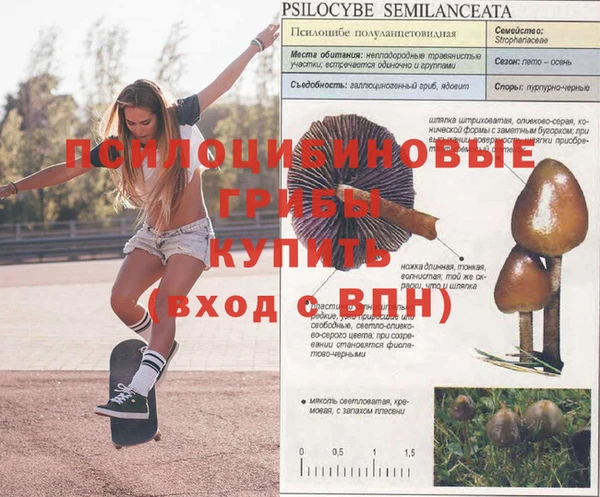 спайс Алзамай