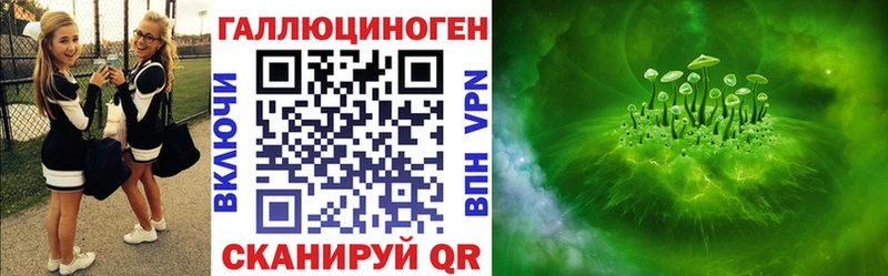 закладки  Краснознаменск  Галлюциногенные грибы Psilocybine cubensis 