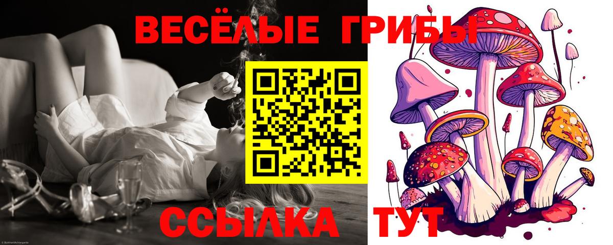 Псилоцибиновые грибы мицелий  Вход с VPN  как найти   Краснознаменск 